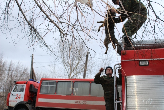 Фотоотчет с места ликвидации последствий паводка в Атбасаре. В МЧС Казахстана рассказали о противопаводковой работе в Атбасаре, Акмолинской области.